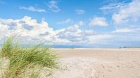 Plage, pelouse et ciel nuageux (Borkum)