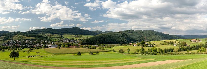 Panorama de la Forêt-Noire Unterharmersbach par Uwe Ulrich Grün