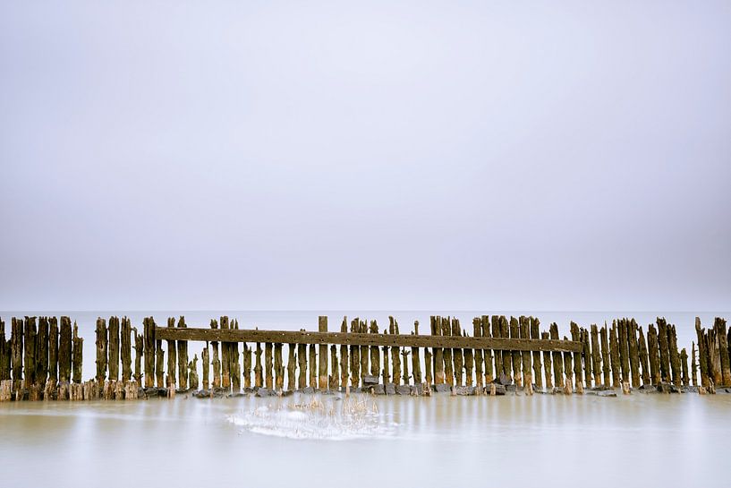 De beaux détails dans un ancien brise-lames en bois dans la mer des Wadden par Jenco van Zalk