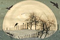 inter garden in light