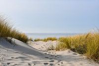 Des pas dans les dunes