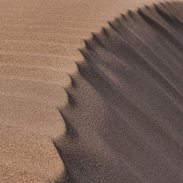 Zandduin par Joanne de Graaff