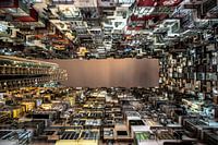 Jungle urbaine de Hong Kong