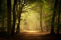 Auch in der Dunkelheit gibt es Licht.