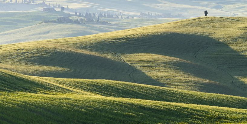 Landschaft bei Sonnenaufgang um Pienza, Val d'Orcia, Toskana von Walter G. Allgöwer