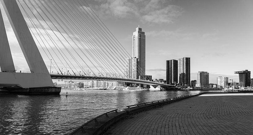 Rotterdamer Erasmusbrücke von Michiel Vos