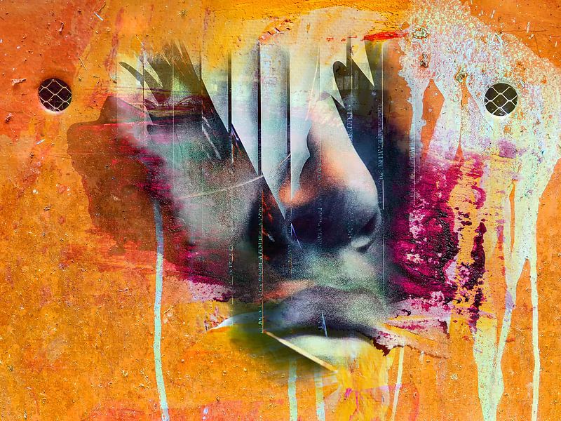 The face at the wall von Gabi Hampe