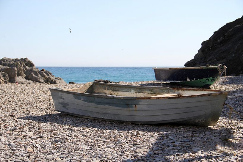 De Twee Boten van Cornelis (Cees) Cornelissen