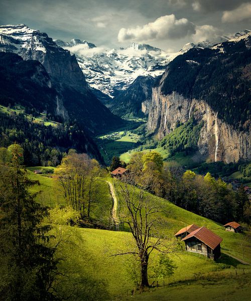 Der Blick von Wengen auf Lauterbrunnen von Niels Tichelaar