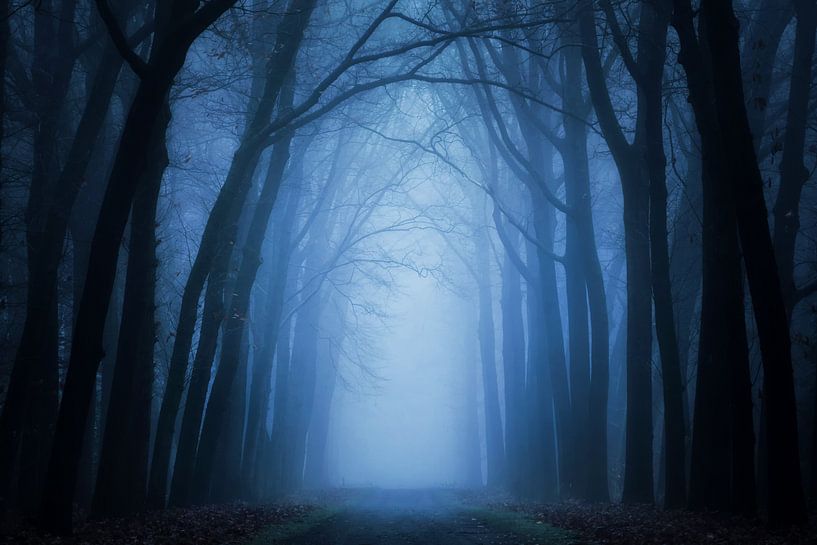 Mist in Lochem von Martin Podt