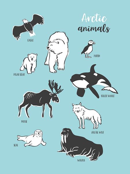 Arktische Tiere von Karin van der Vegt