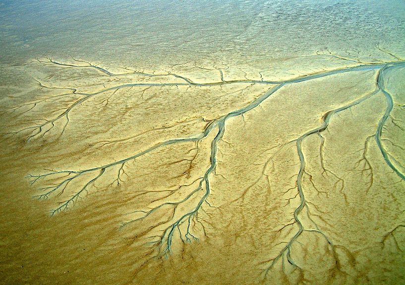 Rinnen und Rinnen im wiedergewonnenen östlichen Wattenmeer von Meindert van Dijk