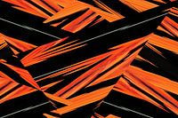 PhotoGraph 33 (Komponenten)