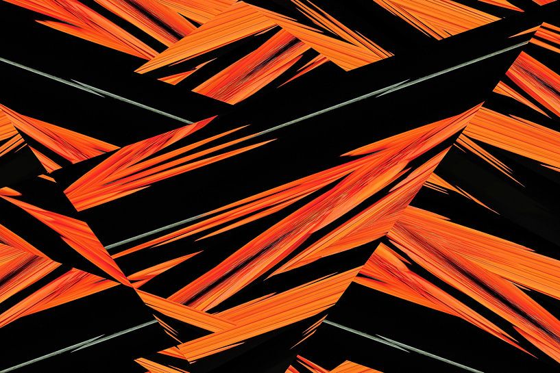 PhotoGraph 33 (Composants) par Hans Levendig (lev&dig fotografie)