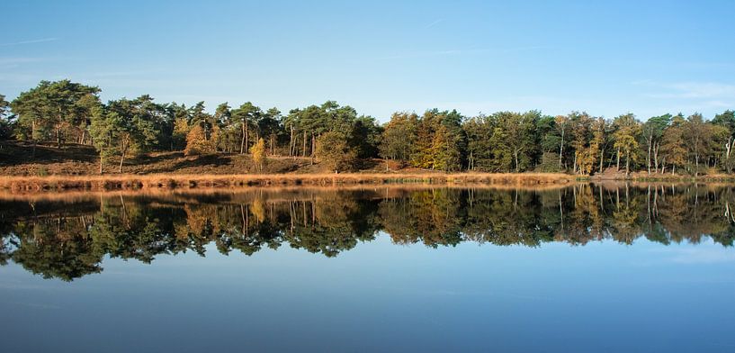Beautiful reflection of the forest in the lake by Patrick Verhoef