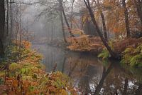 Herbst in der Parklandschaft De Overtuinen in Oranjewoud