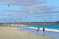 Die Kraft des Windes