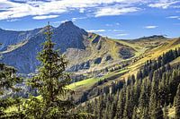 BAVARIA : OBERALLGÄU - OBERSTDORF - FELLHORN