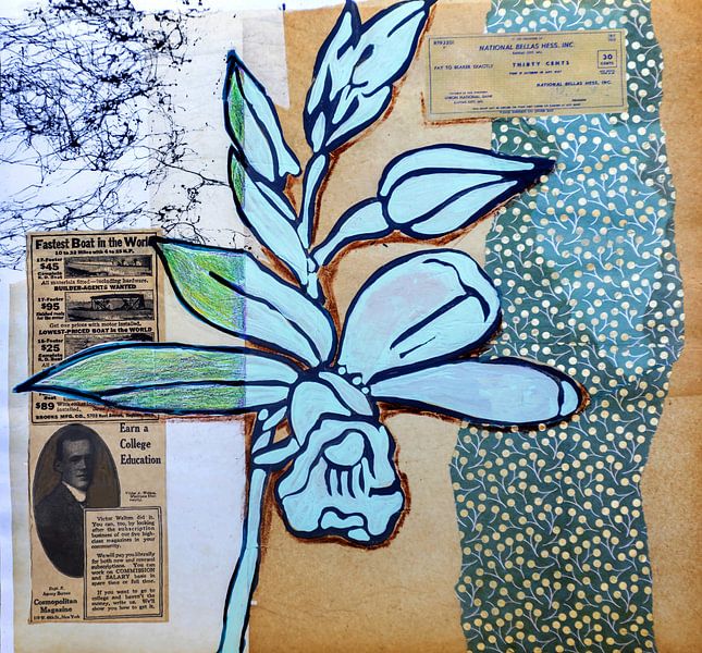 Illustration de plantes et de fleurs en style collage par Ariadna de Raadt-Goldberg