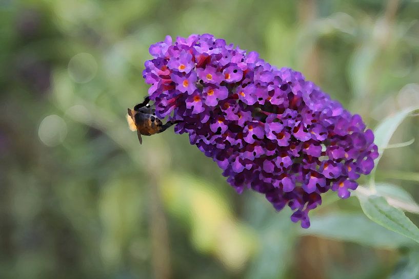 Sommerernte - Biene auf lila Blüte von Masterpiece Living