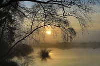 Zonsopkomst in Strijbeek