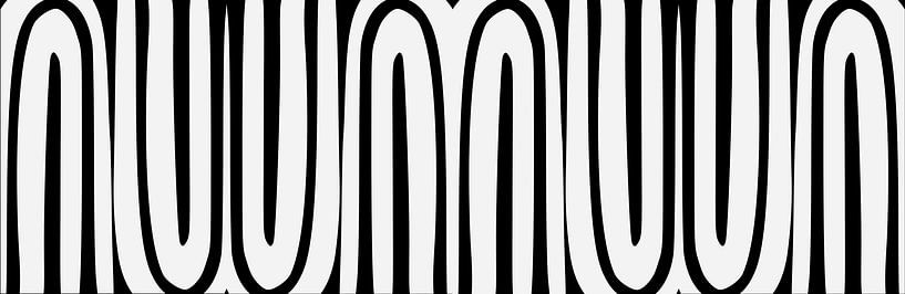 Skandinavischer Regenbogen Panoramabild SW von Mad Dog Art