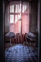 Deux flamants roses en intérieur | Photographie artistique de la nature | Décoration murale unique en forme d'oiseau&quot ;