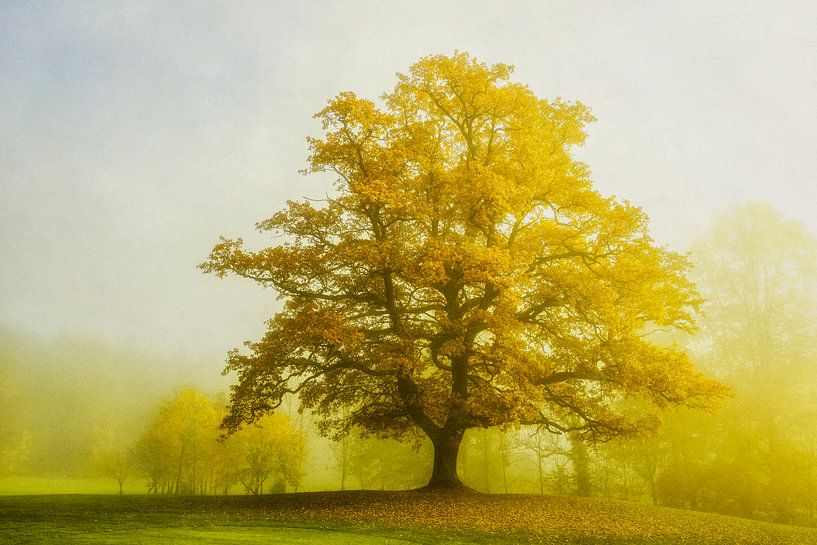 Le Roi Jaune par Lars van de Goor