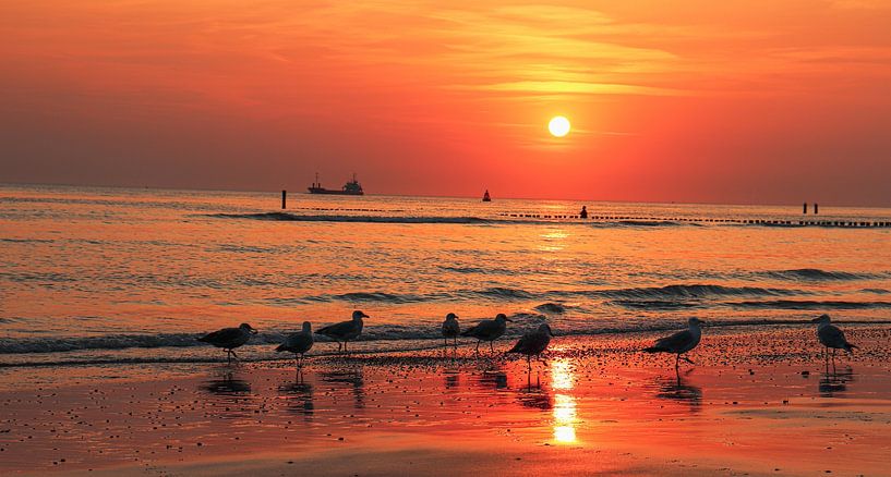 Coucher de soleil par Mijke Crooijmans