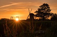 Windmühle von Kinderdijk Sonnenuntergang