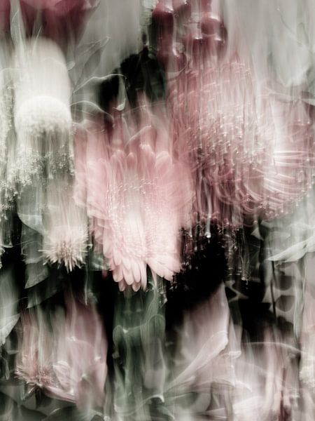 Es ist rosa! 2 von Henriëtte Mosselman