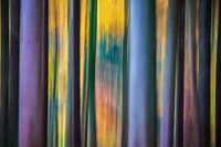 Künstlerische Bäume