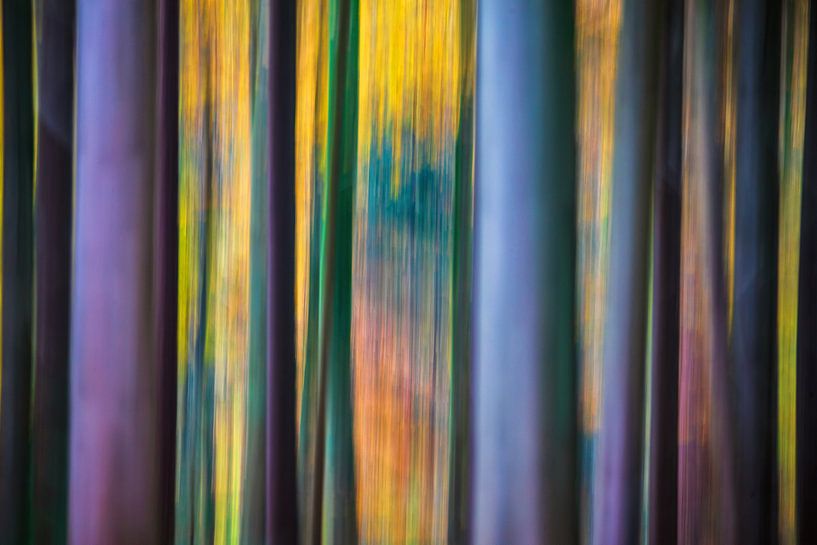 Künstlerische Bäume von Niels  de Vries