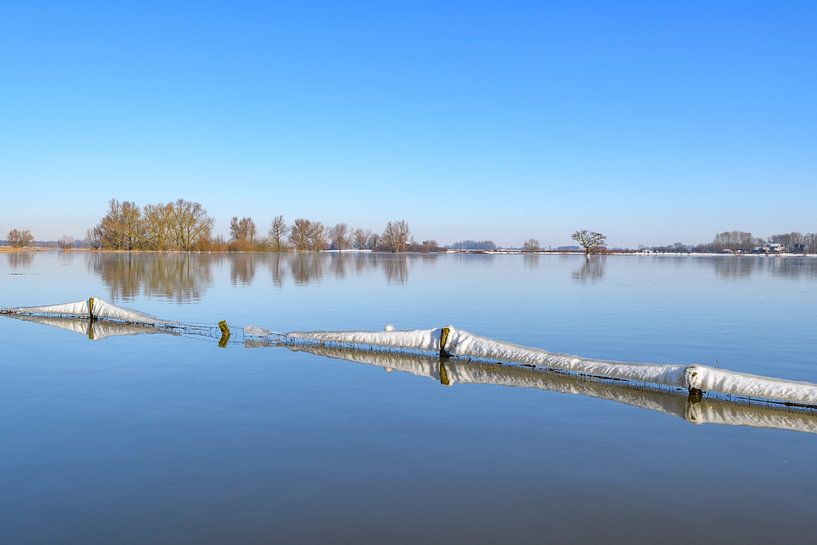 Eisige Landschaft am Fluss IJssel an einem kalten Wintermorgen von Sjoerd van der Wal Fotografie