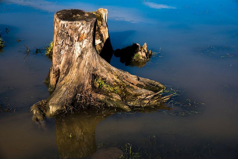 optical illusion by Anita Hermans