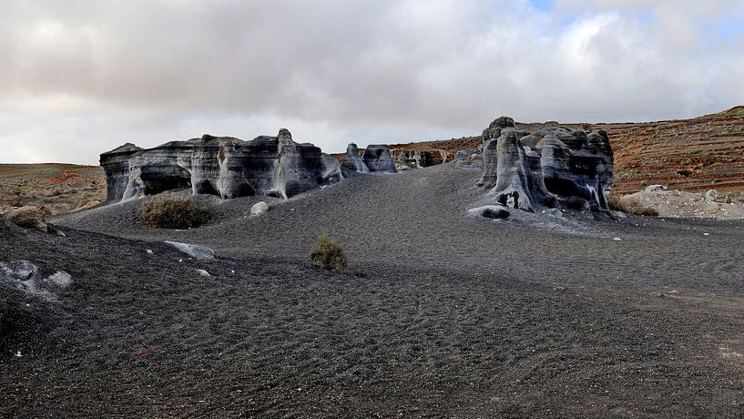 Antigua Rofera von Henk Langerak