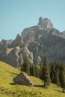 Berggipfel über Schweizer Alpweide