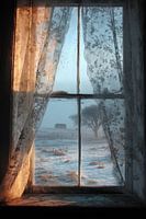 Winter Field Through Vintage Lace Window