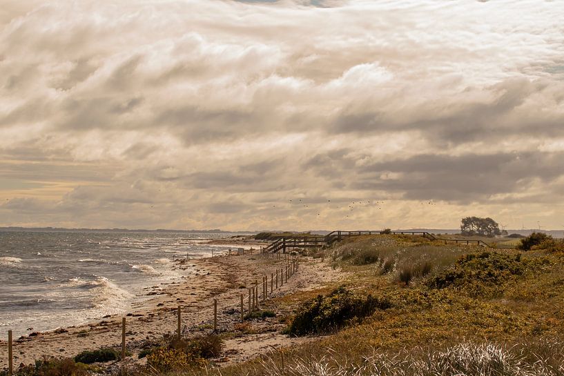 Stormy coast by Naturdetail Fotografie