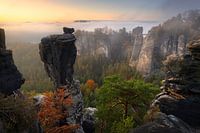 Wehlgrund mit Blick zur Bastei bei Nebel