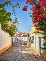Une rue colorée de l'Algarve