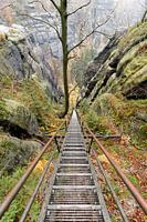 Elbe Sandstone Mountains - Downhill