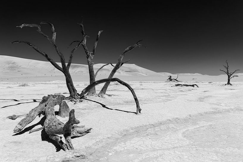 Sossusvlei Namibia (13) Schwarz und weiß von Adelheid Smitt