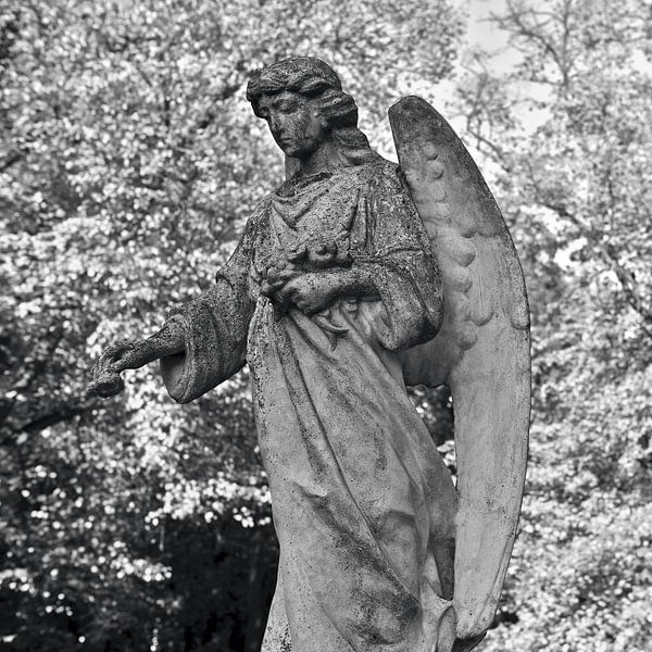 Ange magique en automne - monochrome par Silva Wischeropp