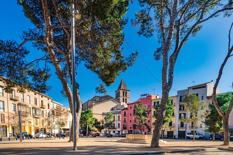 Square at the old town of Palma de Mallorca, Balearic Islands by Alex Winter