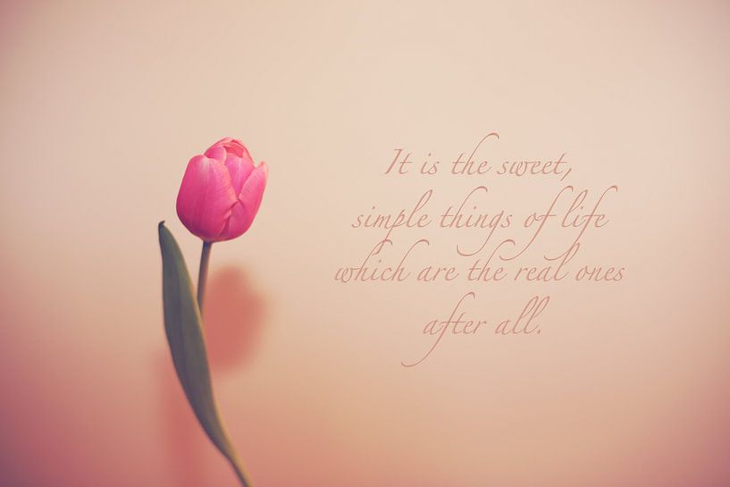 Einfache Dinge von LHJB Photography