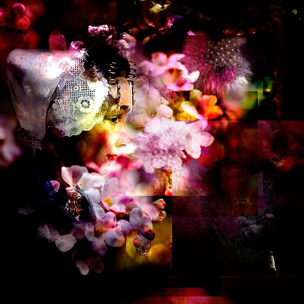 BROWSING IN THE LIGHT by Ted van den Aarssen