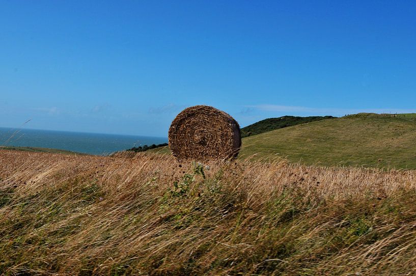 Straw France landscape by Blond Beeld