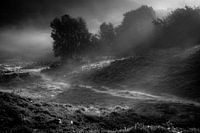 Veluwezoom black and white