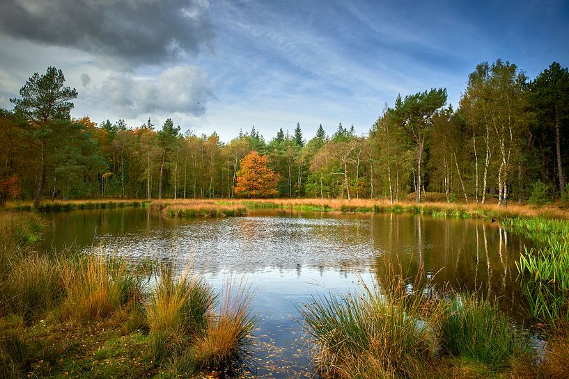 Pluizenmeer on the Renderklippen by Jenco van Zalk